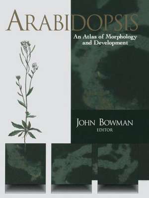 Arabidopsis: An Atlas of Morphology and Development de John Bowman