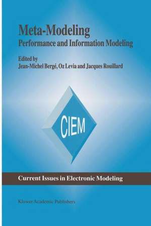 Meta-Modeling: Performance and Information Modeling de Jean-Michel Bergé