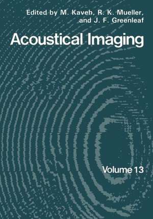 Acoustical Imaging de M. Kaveh