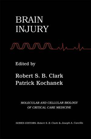 Brain Injury de Robert S.B. Clark
