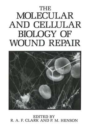 The Molecular and Cellular Biology of Wound Repair de R.A.F. Clark