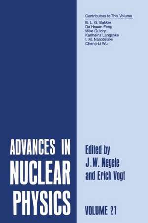 Advances in Nuclear Physics: Volume 21 de J.W. Negele