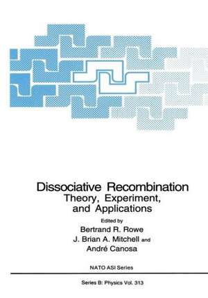 Dissociative Recombination: Theory, Experiment, and Applications de Bertrand R. Rowe