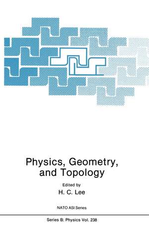 Physics, Geometry and Topology de H. C. Lee