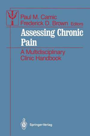 Assessing Chronic Pain: A Multidisciplinary Clinic Handbook de Paul M. Camic