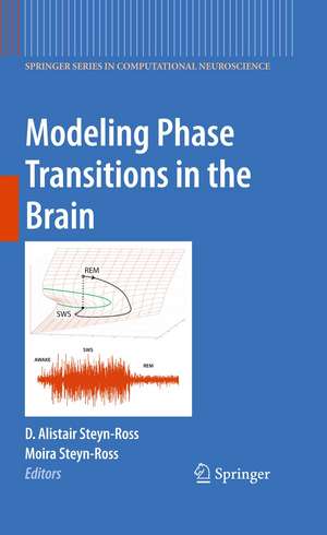 Modeling Phase Transitions in the Brain de D. Alistair Steyn-Ross