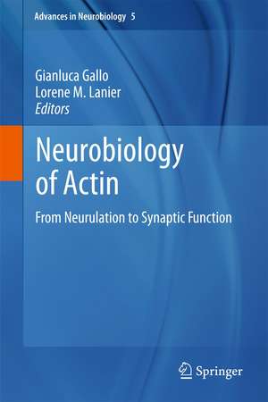 Neurobiology of Actin: From Neurulation to Synaptic Function de Gianluca Gallo