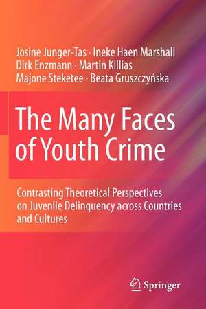 The Many Faces of Youth Crime: Contrasting Theoretical Perspectives on Juvenile Delinquency across Countries and Cultures de Josine Junger-Tas