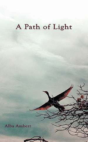 A Path of Light de Alba Ambert