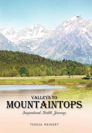 Valleys to Mountaintops de Teresa Meinert