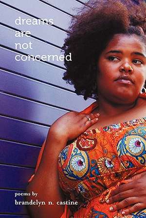 Dreams Are Not Concerned de Brandelyn N. Castine