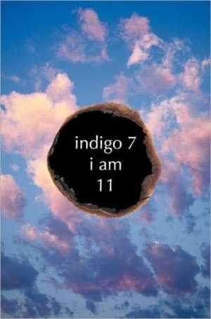 Indigo 7 de 11