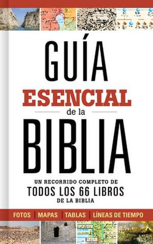 Guia Esencial de La Biblia de B&h Espanol Editorial