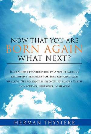 Now That You Are Born Again, What Next? de Herman Thystere