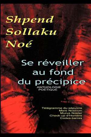 Se Reveiller Au Fond Du Precipice de Shpend Sollaku No