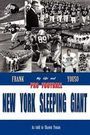 New York Sleeping Giant de Shawn Youso