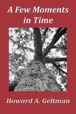 A Few Moments in Time de Howard A. Geltman