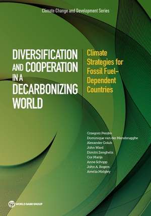 Diversification and Cooperation in a Decarbonizing World de Grzegorz Peszko