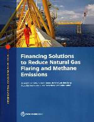 Financing Solutions to Reduce Natural Gas Flaring and Methane Emissions de Gianni Lorenzato