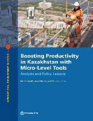 Boosting Productivity in Kazakhstan with Micro-Level Tools de Mariana Iootty