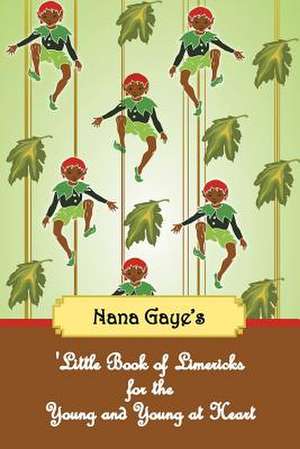 'Little Book of Limericks for the Young and Young at Heart de Gaye Hemsley