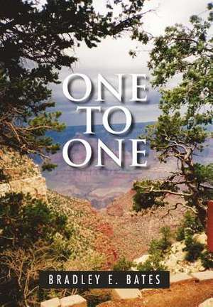 One to One de Bradley E. Bates