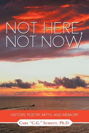 Not Here, Not Now de C. G. Schott