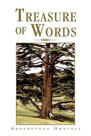 Treasure of Words de Adegboyega Omoloja