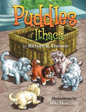 Puddles of Ithaca de Richard R. Davison