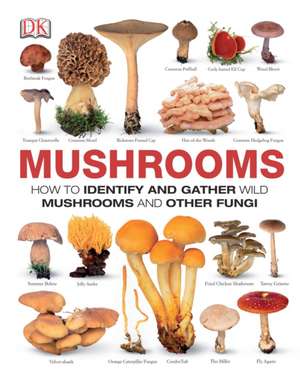 Mushrooms: How to Identify and Gather Wild Mushrooms and Other Fungi de Thomas Laessoe