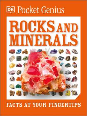 Pocket Genius: Rocks and Minerals de DK Publishing