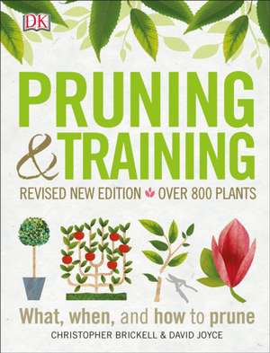 Pruning and Training, Revised New Edition de Dk