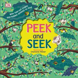 Peek and Seek de Dk