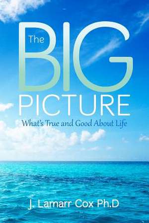 The Big Picture de J. Lamarr Cox Ph. D.