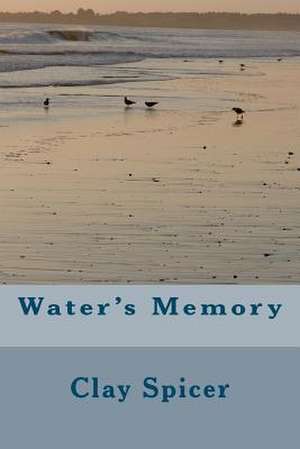 Water's Memory de Clay Spicer