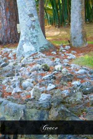 Grace de Pastor Heinrich Hansjakob