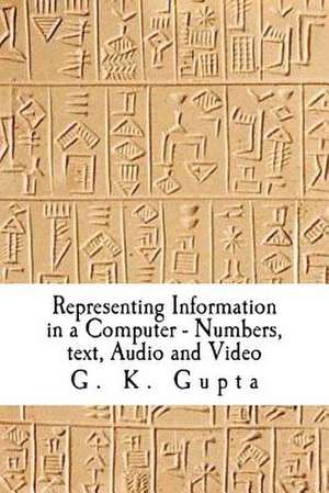 Representing Information in a Computer de G. K. Gupta