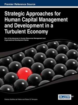 Strategic Approaches for Human Capital Management and Development in a Turbulent Economy de Ordonez De Pablos