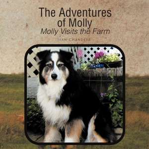 The Adventures of Molly de Jean Chandler