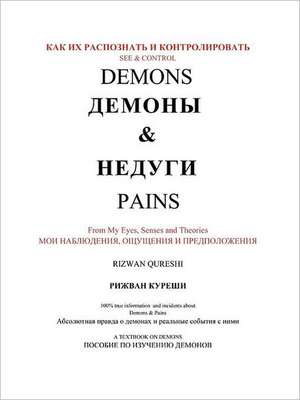 See & Control Demons & Pains de Rizwan Qureshi