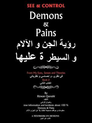 See & Control Demons & Pains de Rizwan Qureshi