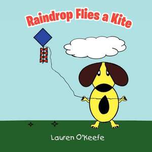 Raindrop Flies a Kite de Lauren O'Keefe