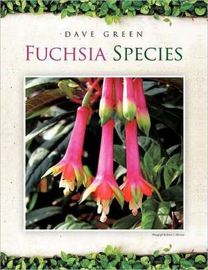 Fuchsia Species de Dave Green