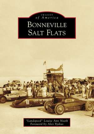 Bonneville Salt Flats de Noeth