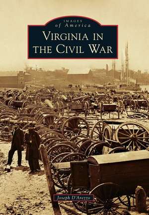 Virginia in the Civil War de Joseph D'Arezzo