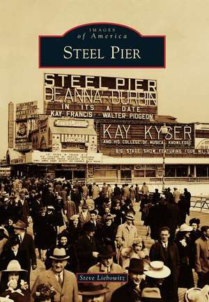 Steel Pier de Steve Liebowitz