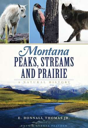 Montana Peaks, Streams and Prairie de Dr Donnall Thomas Jr