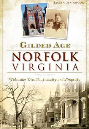 Gilded Age Norfolk, Virginia: Tidewater Wealth, Industry and Propriety de Jaclyn Spainhour