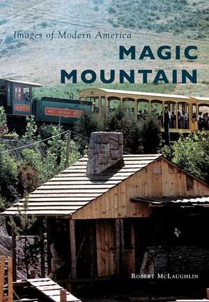 Magic Mountain de Robert Mclaughlin