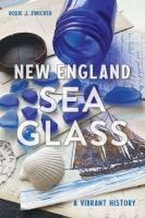 New England Sea Glass de Roxie J Zwicker